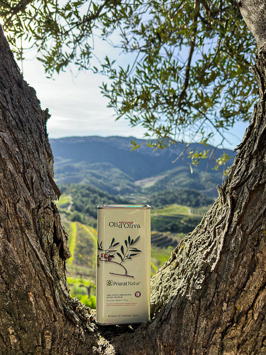 Extra Natives Olivenöl Arbequina Priorat Natur – 500ml